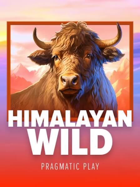 HighStakes Palace: Điểm Đến Dành Cho Các Tín Đồ Cờ Bạc